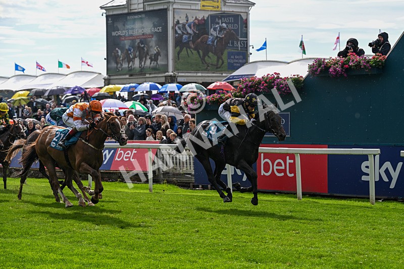 060926-Race 2-Oriental Prince-7218 - Race 2 2.05pm Fine Details Car Valeting Sprint Handicap