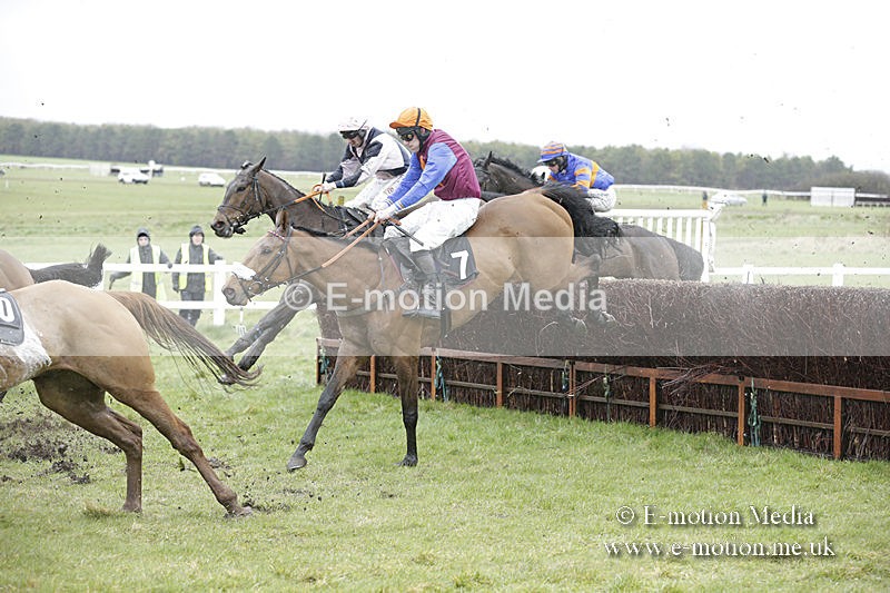 PtP 150320 0207 - New Forest Point-to-Point Larkhill 15/03/20