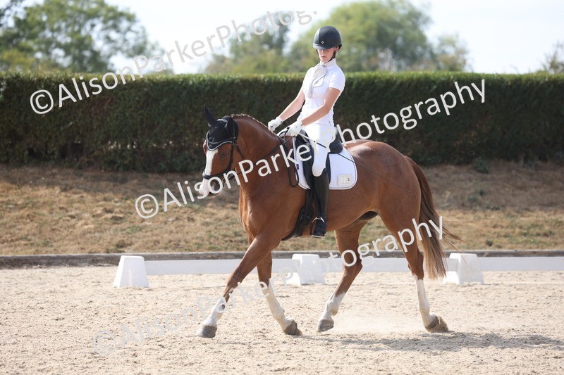 20260815-1131 - Class 6 - Novice 2