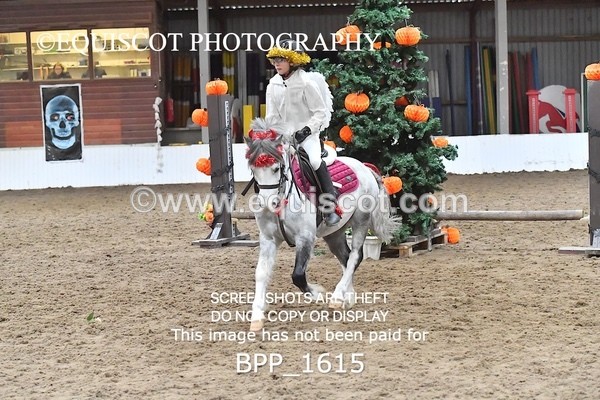 BPP_1615 - CLASS 2 TEAM SJ 40CM