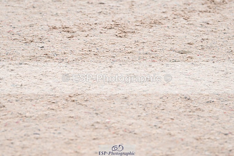 250424-091547-03498 - Cls 13 - 1 Star Bronze Tour