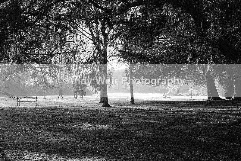 20141228-3K8A7395-3267 - England