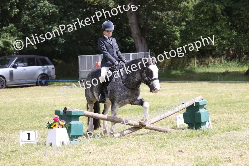 20260614-1959 - Class 21 - Novice Working Hunter Pony