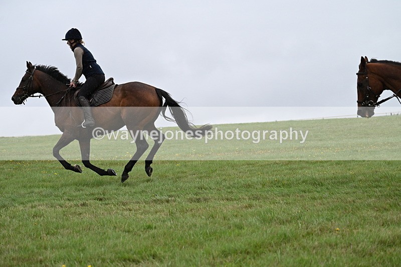 WJ7_9038 - Time 13:31 to 14:00