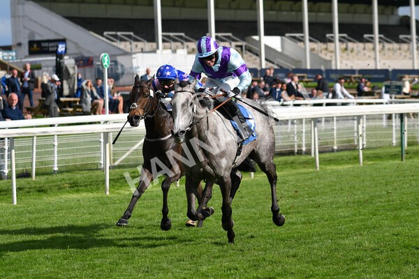 yr22052021r7-35 - Race 7 5.25pm Hudson Quarter York Palace Capital Stakes - Gentleman Amateur Riders Race