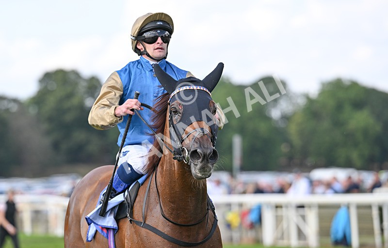 220826-016 Archivist - Race 1 13.50pm Sky Bet Strensall Stakes