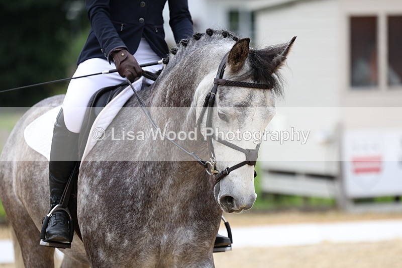 3E7A1715 - Class 2: Intro 2 2024 Section B