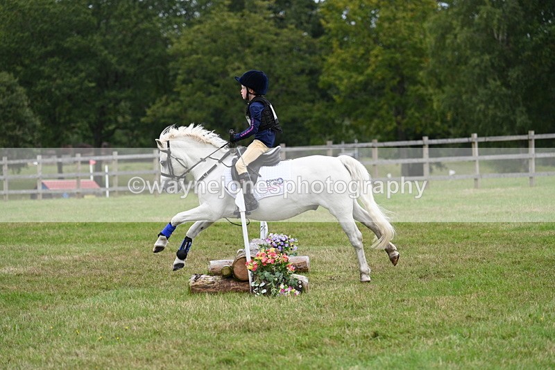 WJ7_7629 - 40cm Time 10:27 to 10:47