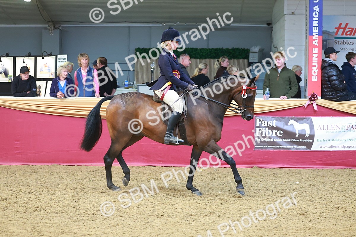 SBM_12732 - Class 103 - HOYS Veteran Qualifier - Ridden Pre Vet