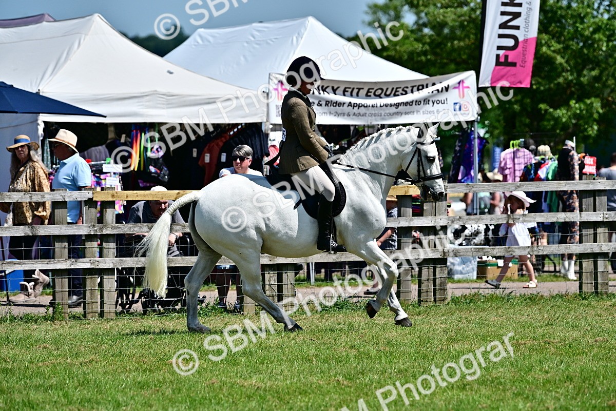 SBM_17475 - Class 95-97 - BSPS LHS Performance Ponies