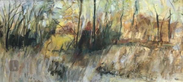 Gorse bush in Spring - Kate Hajducka