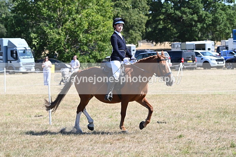 WJ6_8342 - Class 37a Best Loan Pony Ridden