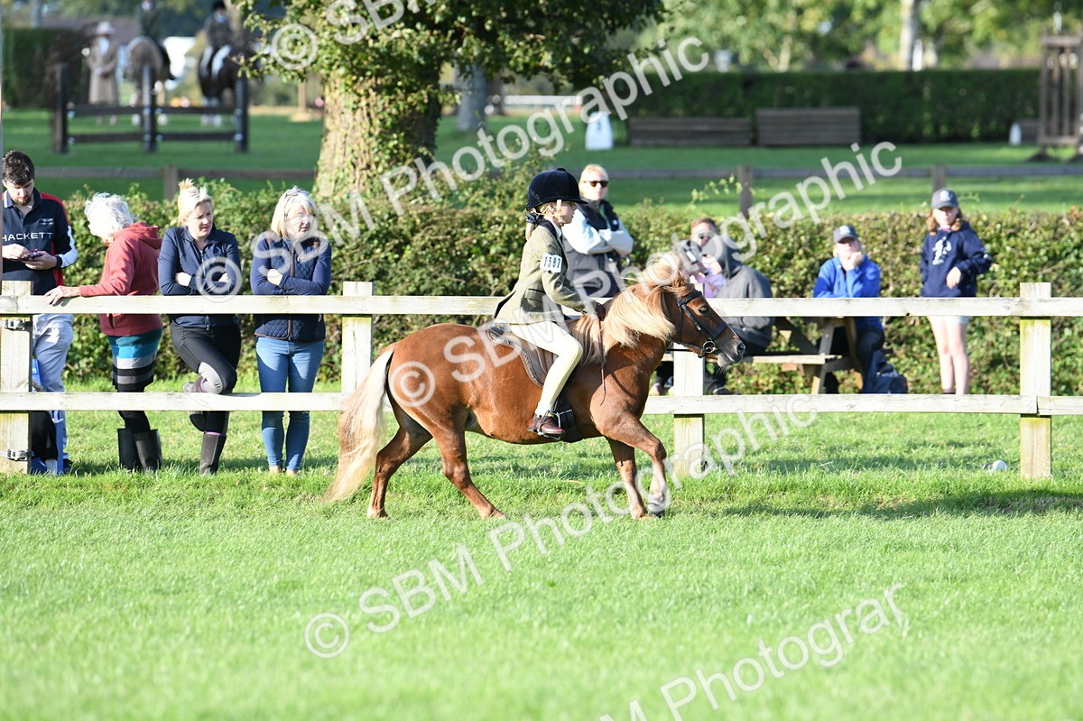 SBM_54077 - S23 - 1st Ridden Mountain & Moorland Pony