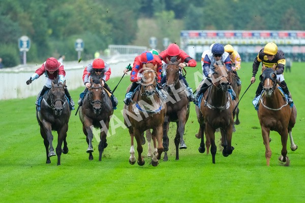 080925-Race 2-Alzahir-7784 - Race 2 3.00pm Sky Bet Super Sub Sprint Handicap