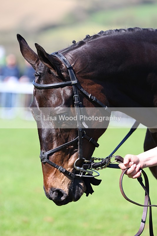 3E7A5223 - Race 4:  Maiden