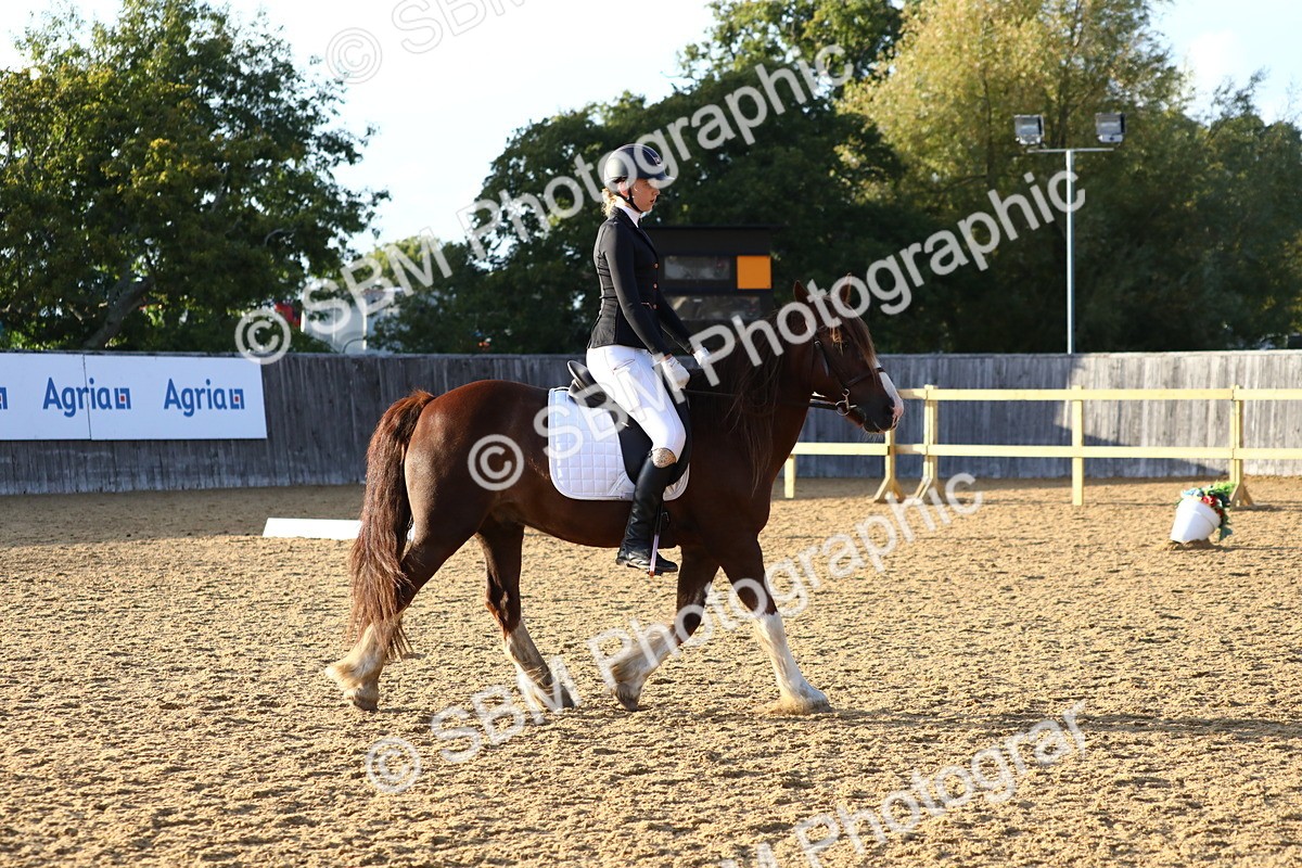 SBM_31720 - D11 - Small Tour Championship Prelim 1