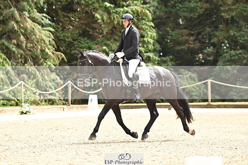 250808A-140412-00770 - 128-Joe.RoomeMonarchs.Way.Tobiah