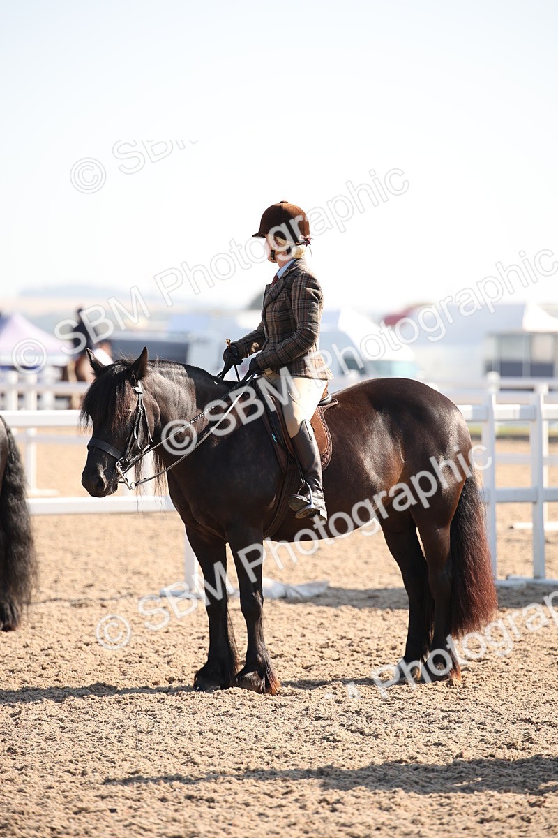 SBM_00754 - Class 14 Ridden M&M Wildcard