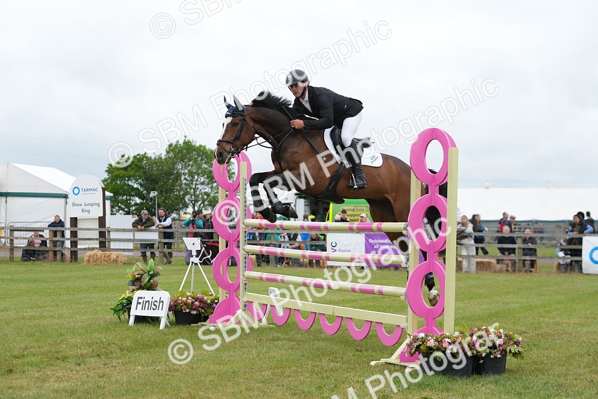 SBM_05180 - Class 201 - British Horse Feeds Speedi Beet Horse of the Year Show Grade  C