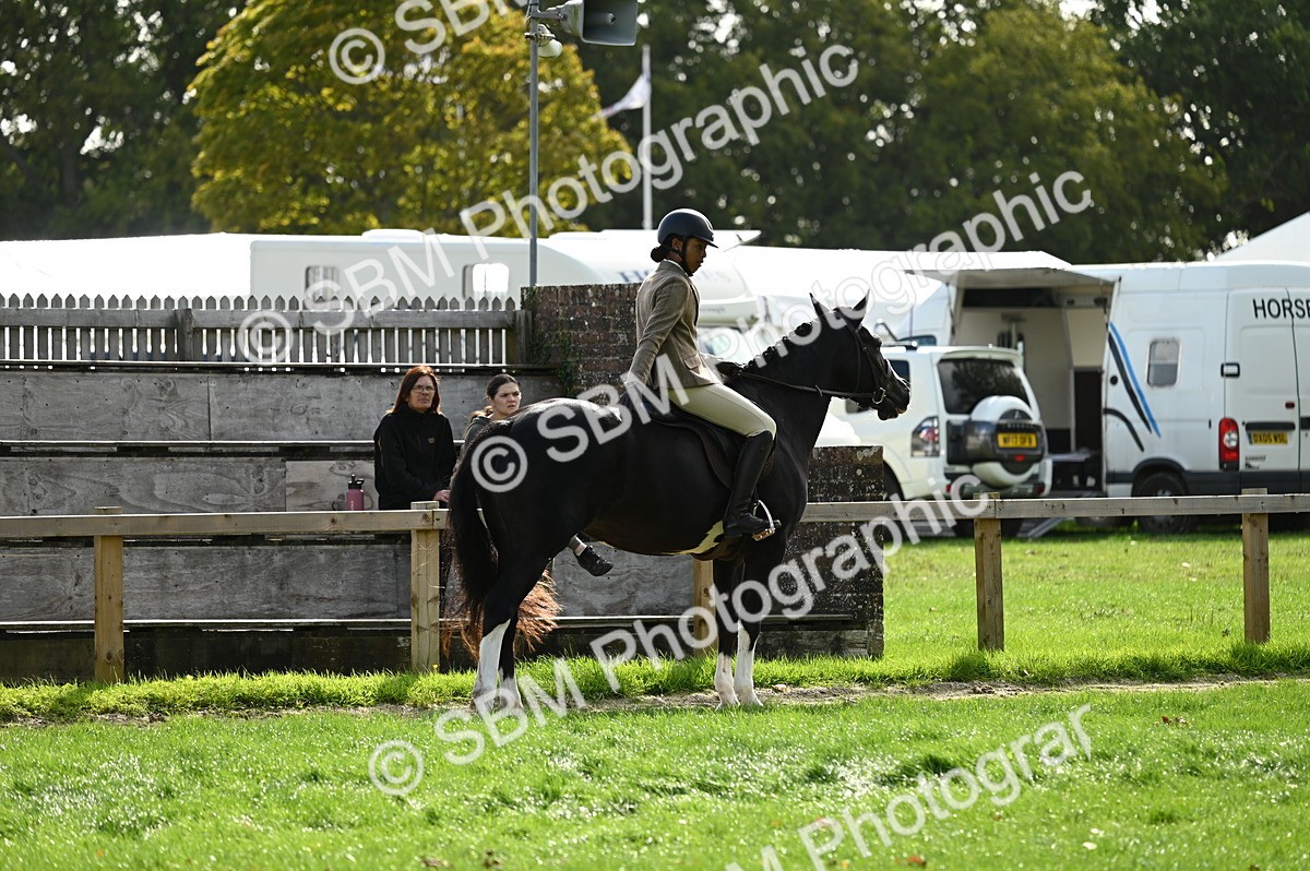 SBM_01955 - S2 - TSR Ridden Horse Showing