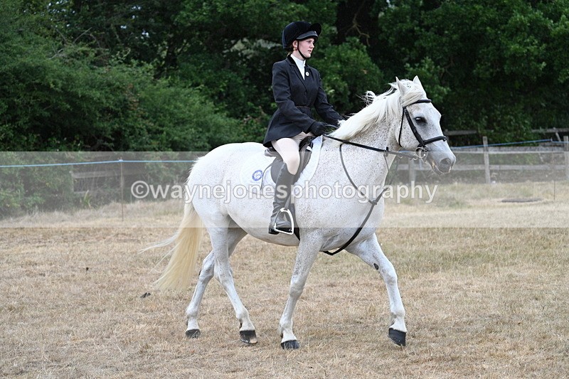 WJ7_0946 - Class 7 Riding Club Show Horse