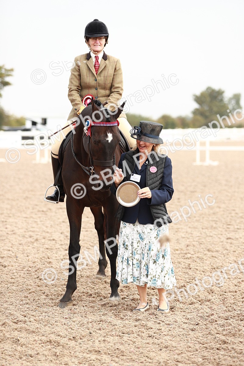 SBM_09446 - Class 202 Best Turned Out Ridden