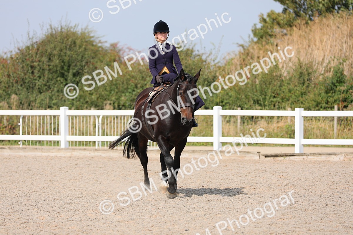 SBM_14545 - Class 211 Best Side Saddle Horse/Pony