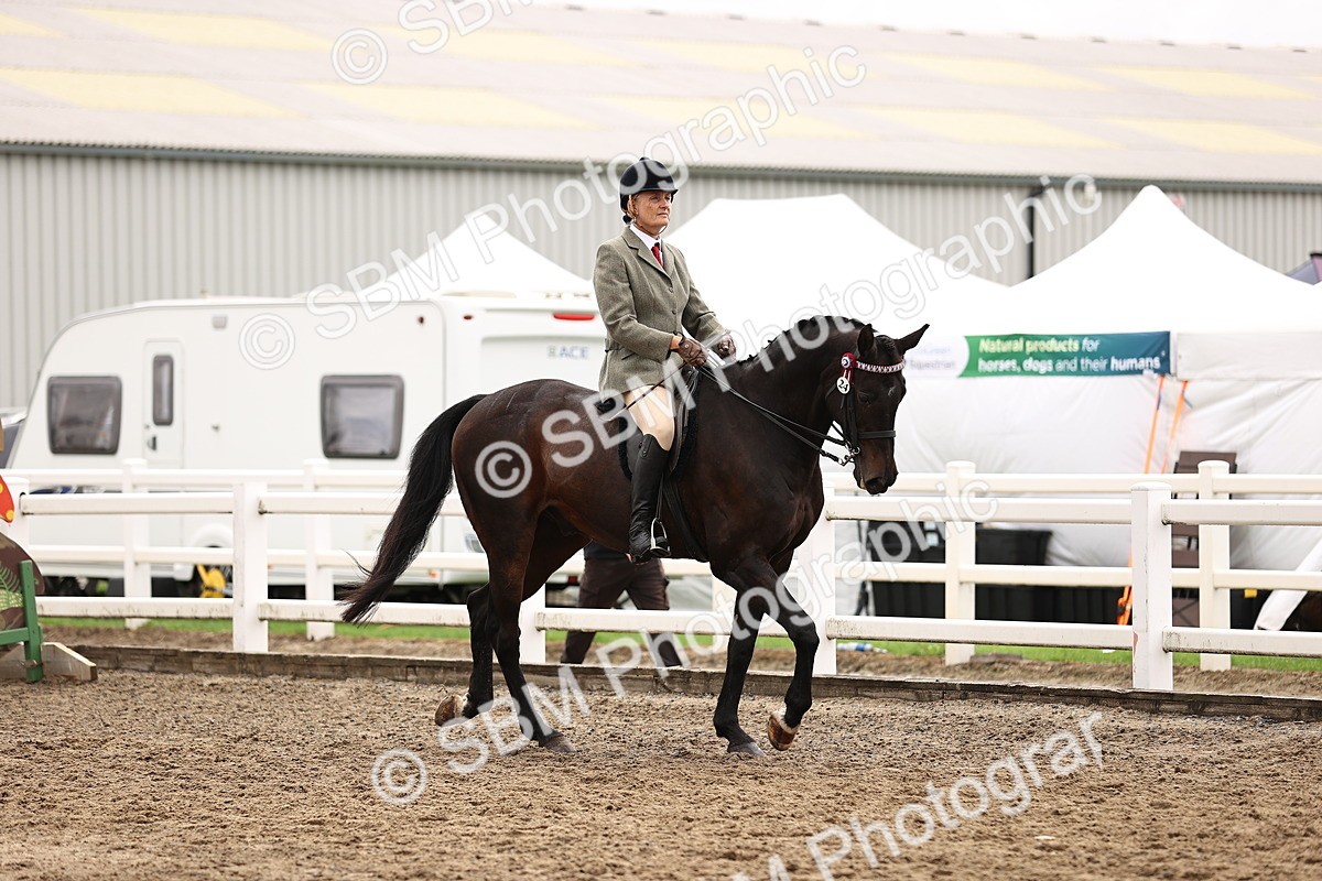 SBM_00526 - Class 53 - Ridden Competition Horse Pony