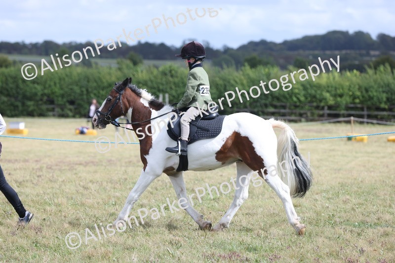 20250831-4319 - Class 20 - Ridden Coloured