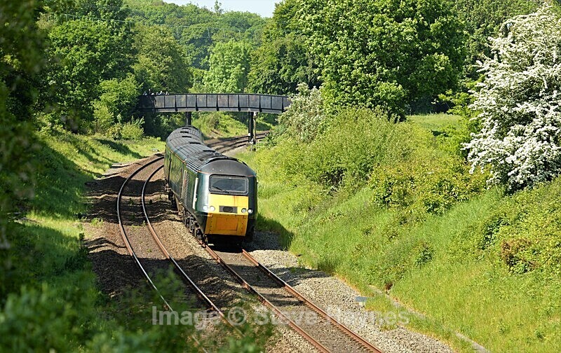 27th May 2023 - Whiteball, Somerset