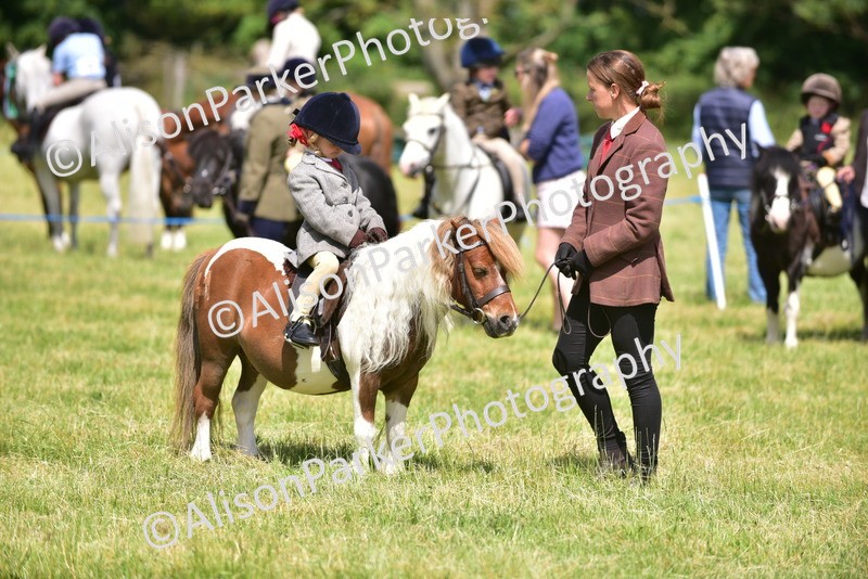 20260614-1230 - Class 11a - Lead Rein Pony (Unplaited)