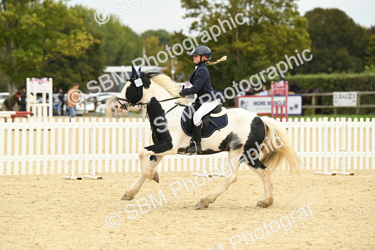 SBM_73137 - J16 - Junior Pony 75cm Championship
