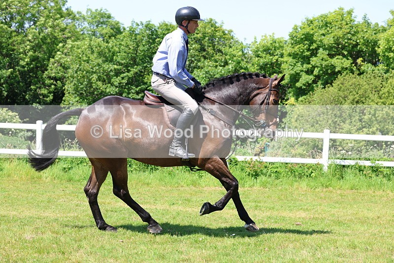 3E7A7185 - Class 30: Novice Working Hunter