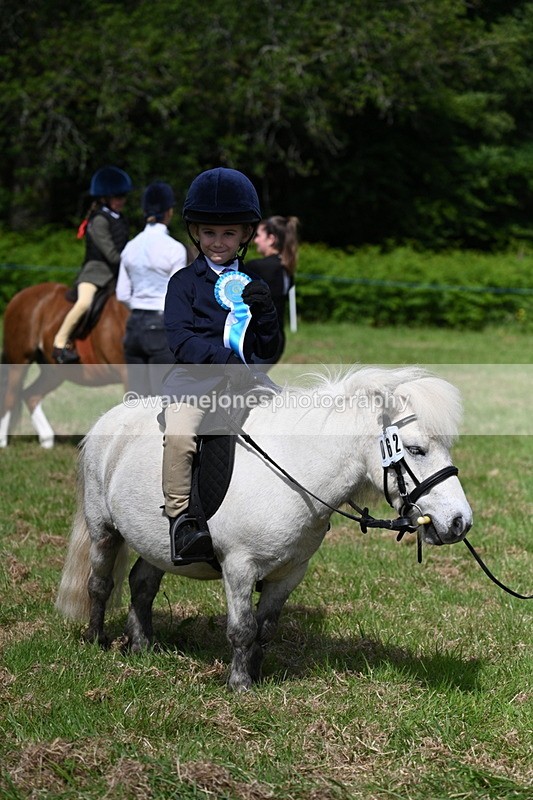 WJ7_0940 - Class 8 First Rally Pony
