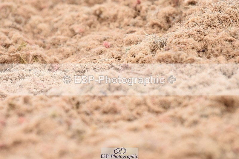 230630A-132848-02691 - Cls 16+17 Advanced 101+105