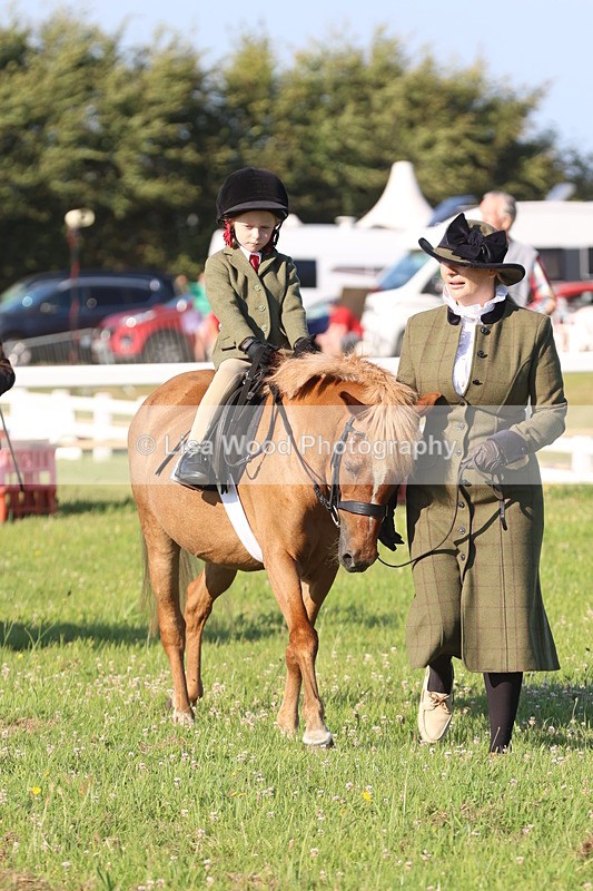 JPP_0871 - Class 16: Cornish Combination Leading Rein