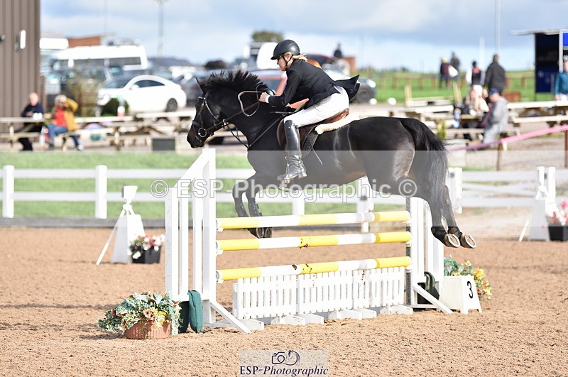 231015A-131238-08239 - Cls 25 95cm Amateur Q 2nd R