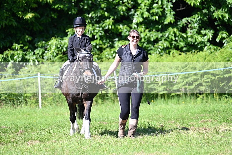 WJ7_0462 - Class 8 First Rally Pony