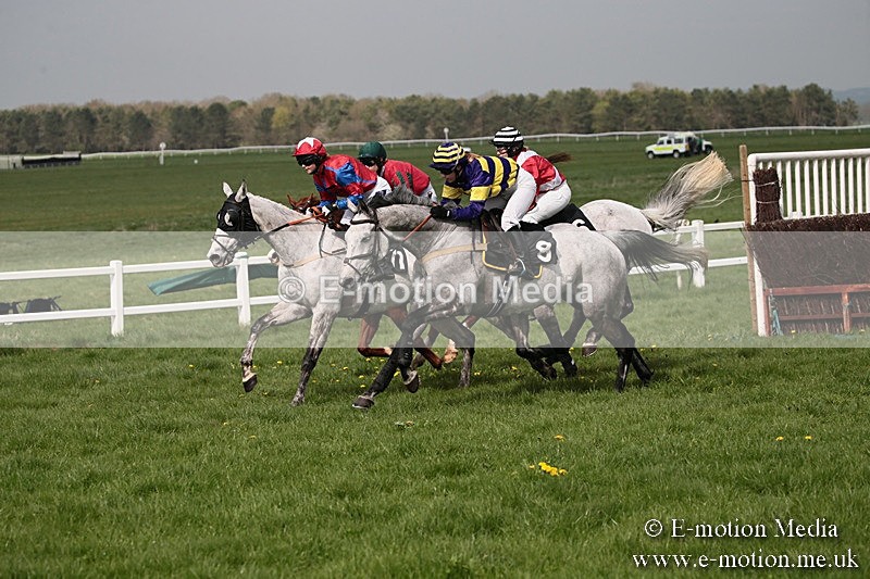 PtP 210418 261 - South & West Wilts Point-to-Point Larkhill 21/04/18