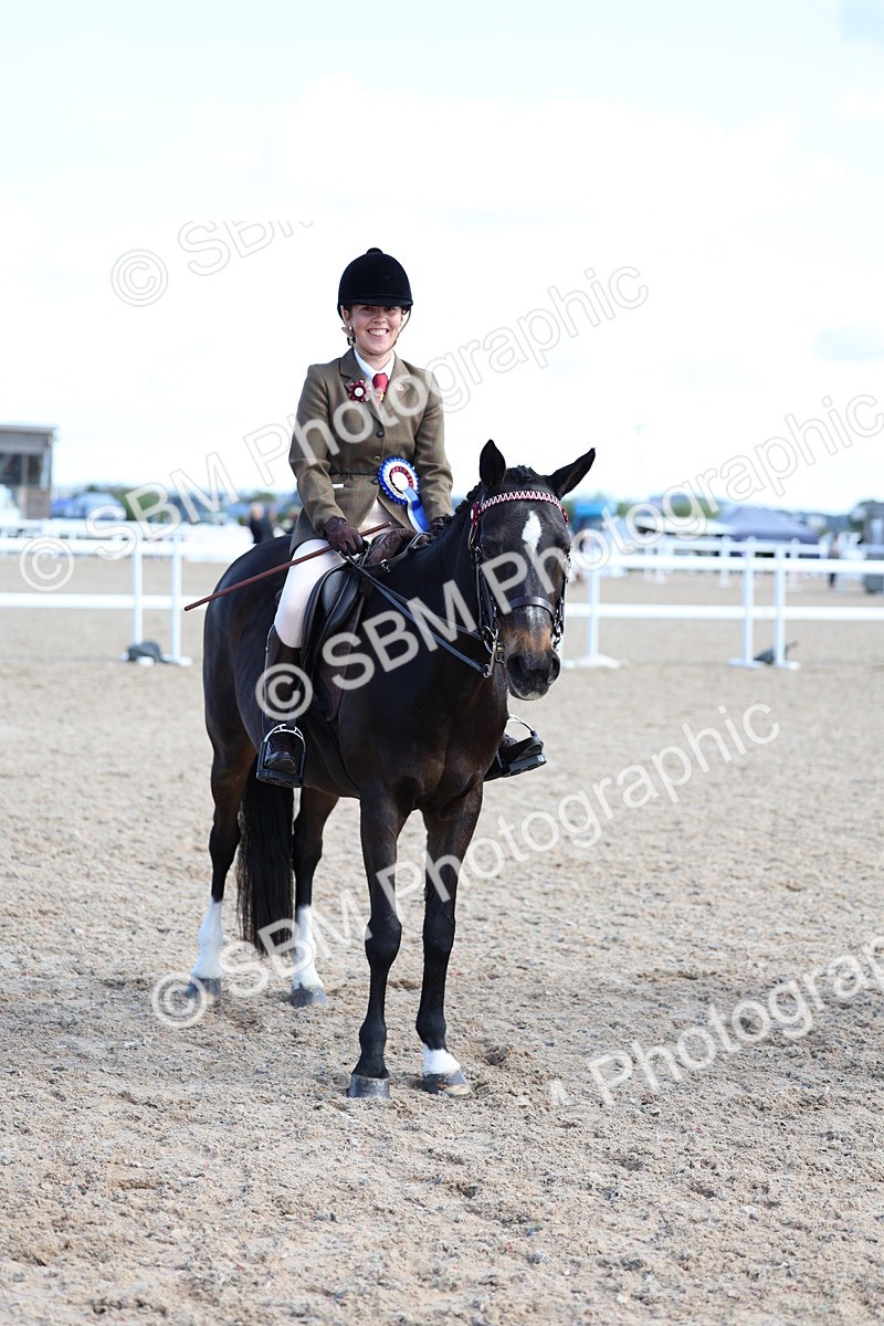 SBM_11247 - Class 306 - Ridden Foreign Breeds - Part Bred
