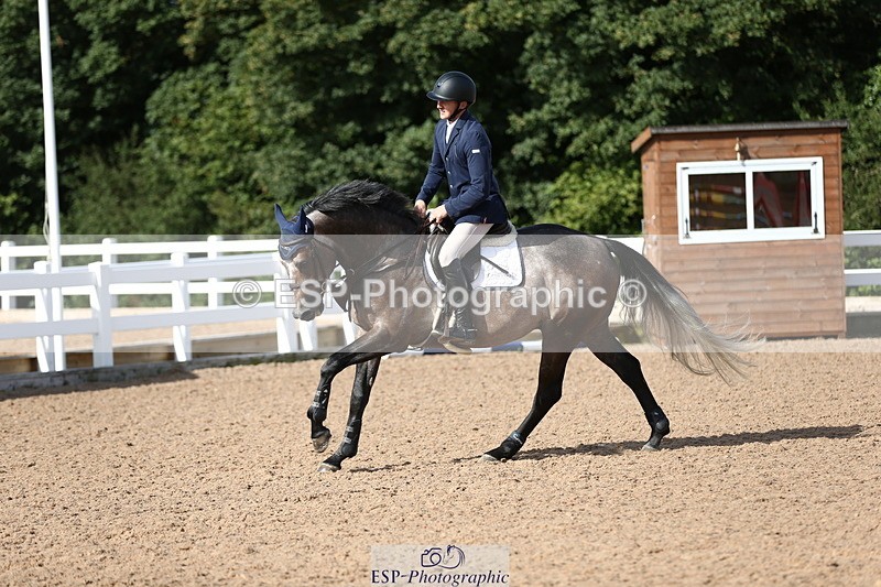 230811A-093602-02892 - Cls 13 A&B Snr Brit Nov & 90cm Open