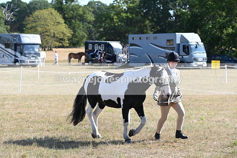 WJ6_7228 - Class 33 Rescue Pony