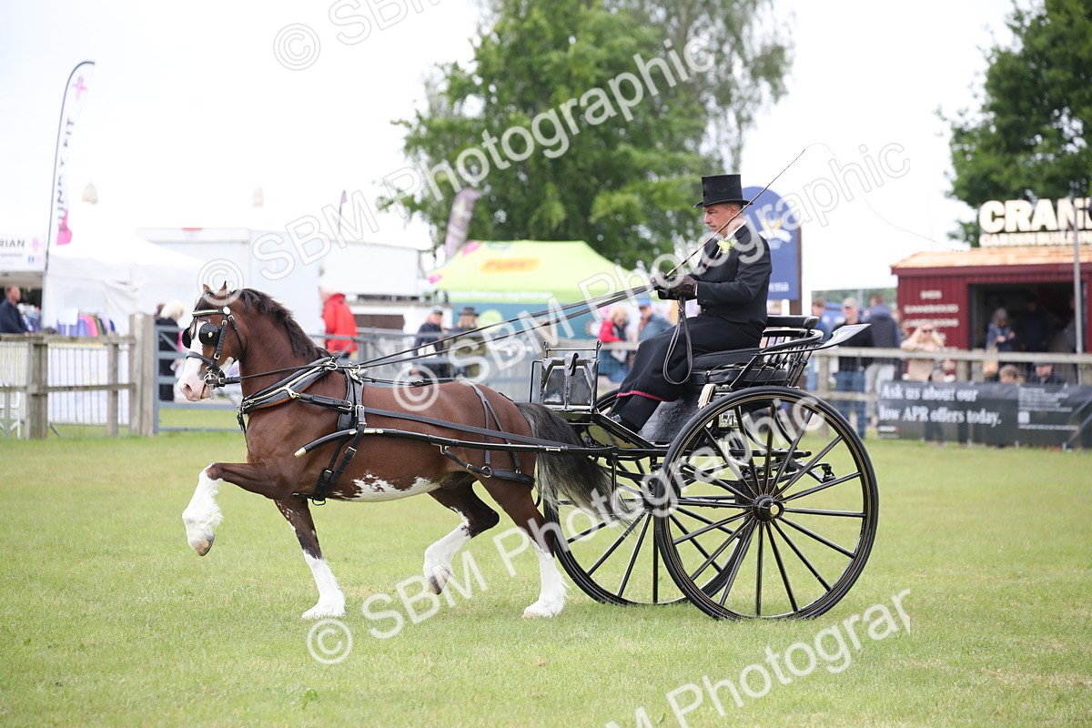 SBM_05847 - Class 12-15 - HOYS Private Driving