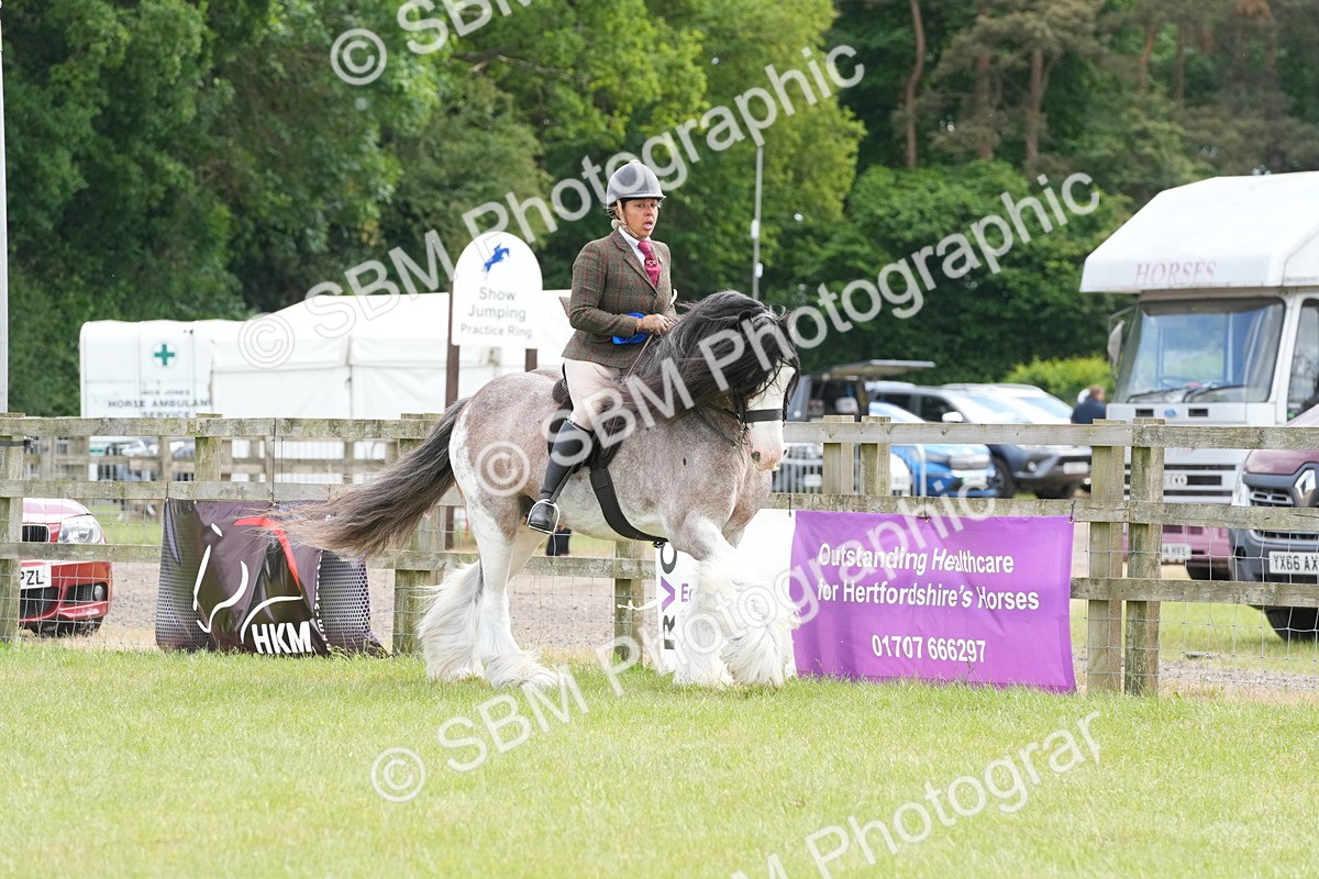 SBM_17351 - Class 107-108 - LIHS BSPS Performance Coloured Horse Pony