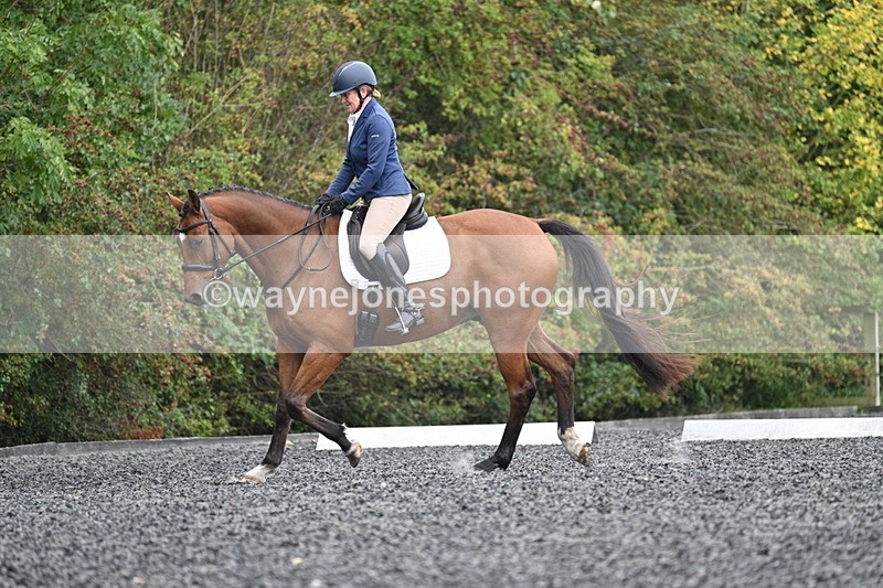 WJ7_4294 - Time 11:43 to 12:09