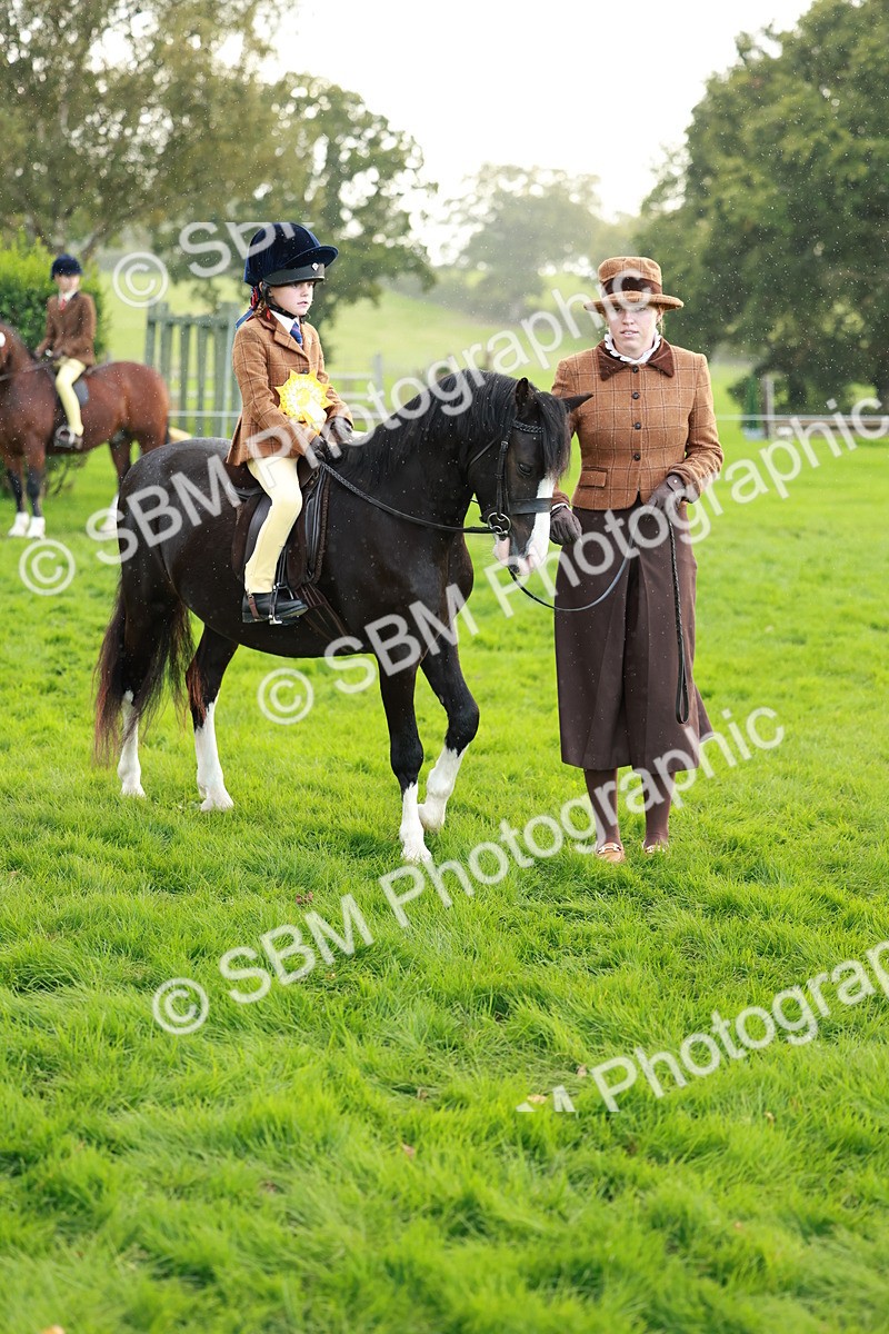 SBM_28893 - S7 - Novice & Newcomer Ridden Pony