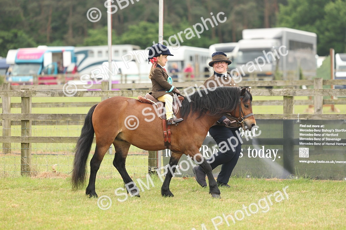 SBM_06851 - Class 74-75 - M&M Lead Rein and First Ridden Pony