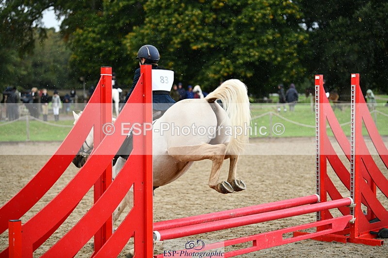 251004A-110851-00548 - Classes 4 & 5 50cm