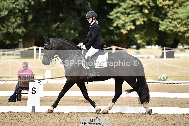 140109A-230650-08383 - 088-Carolyn.Galemully-brook.sylvester