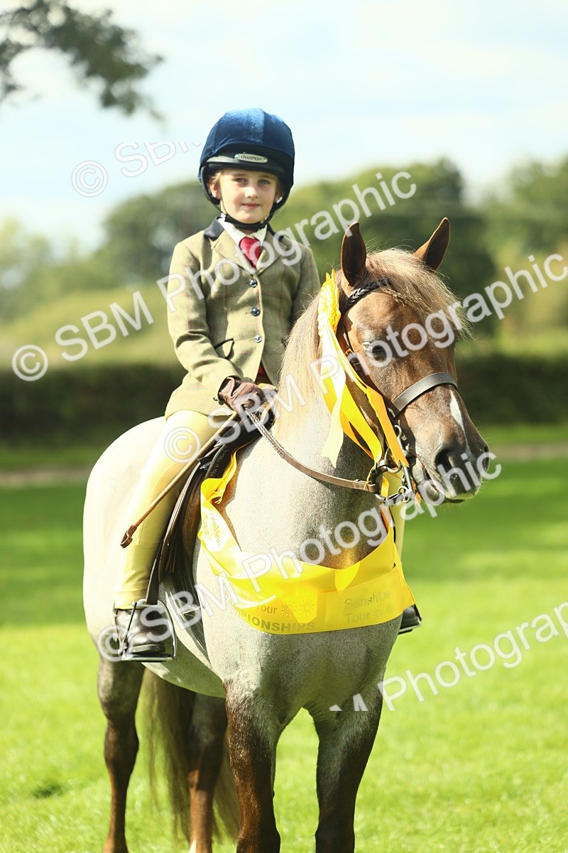 SBM_44968 - Working Hunter Pony Supreme Championship